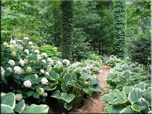 image001